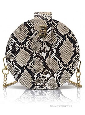 Fashion Crossbody Bag Snakeskin Shoulder Bag with Chain Strap for Women