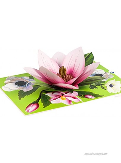 TRUANCE Pop Up Greeting Card Magnolia Flower- 3D Cards For Birthday Anniversary Mothers Day Thank You Cards Card for Mom Congratulation Card Love Card All Occasion